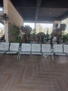 WhatsApp Image 2025-12-15 at 1.03.02 PM