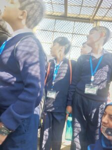 WhatsApp Image 2025-12-15 at 1.03.19 PM (1)