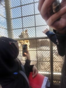 WhatsApp Image 2025-12-15 at 1.03.19 PM