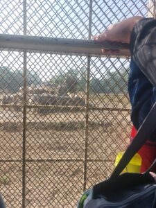 WhatsApp Image 2025-12-15 at 1.03.24 PM