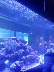 WhatsApp Image 2025-12-15 at 1.03.26 PM