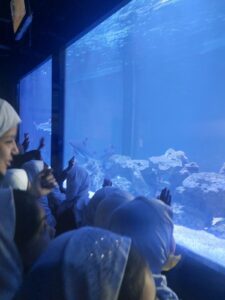 WhatsApp Image 2025-12-15 at 1.03.27 PM