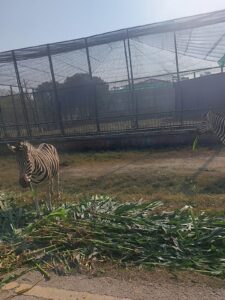 WhatsApp Image 2025-12-15 at 1.03.29 PM