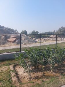 WhatsApp Image 2025-12-15 at 1.03.31 PM